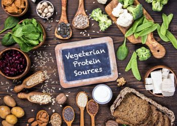 high protein indian vegetarian foods
