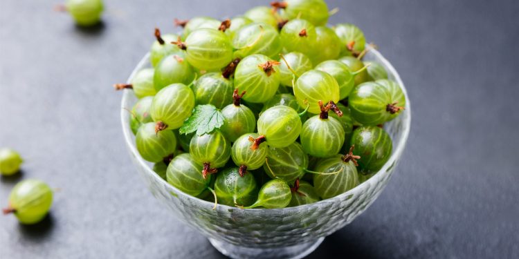 11 surprising benefits of eating amla indian gooseberry everyday
