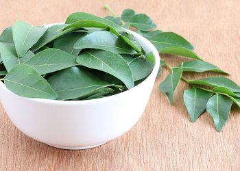 benefits of curry leaves or kadipatta